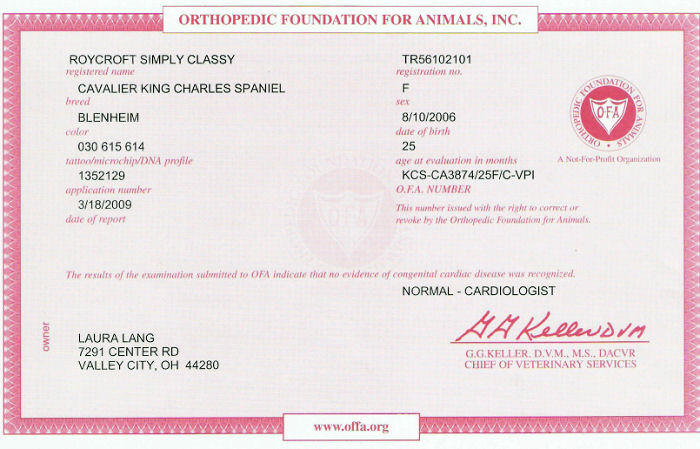 OFA cardiac certifcation