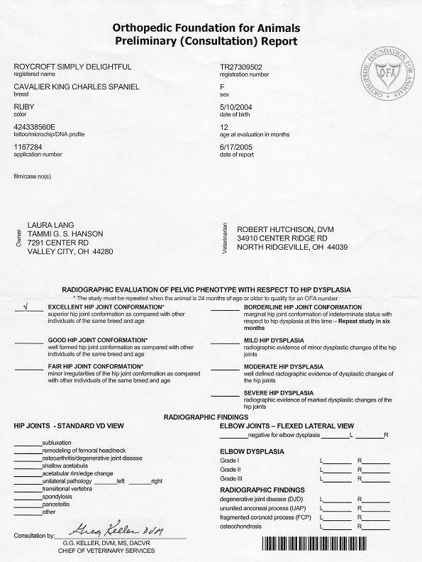 Preliminary hip form